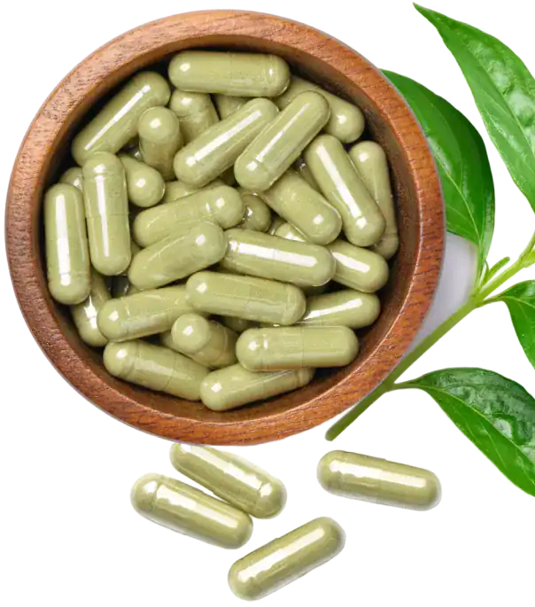kratom capsules